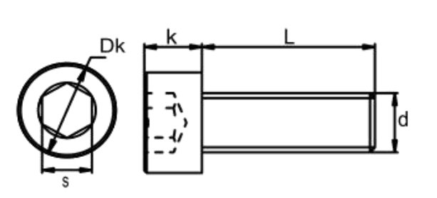 PEEK Hexagon Socket Screws