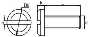 PEEK Slotted Pan Screw