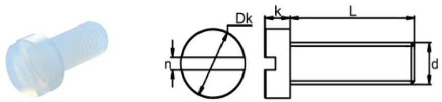 PEEK Slotted cylindrical head bolts