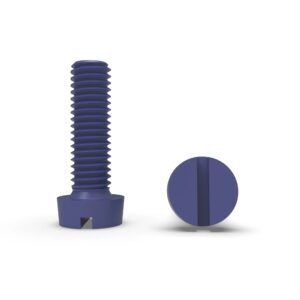 Ptfe Slotted Cheese Head Screw 2