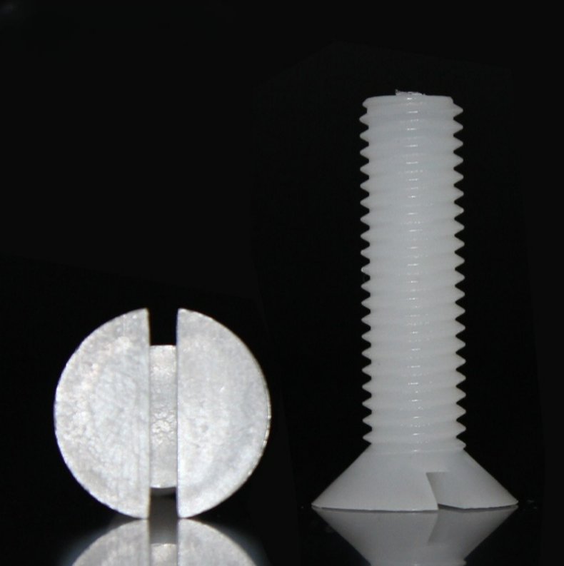 Pvdf Slotted Counter Sunk Head Screw 2