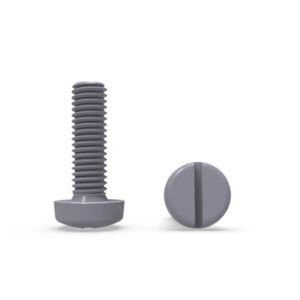 Slotted Pan Head Screw 2