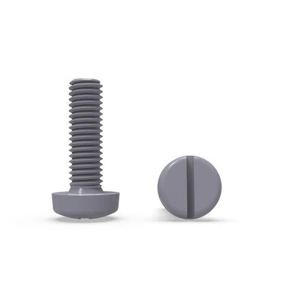 Slotted Pan Head Screw 2