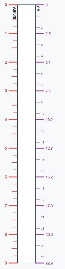 Inches To Centimeters